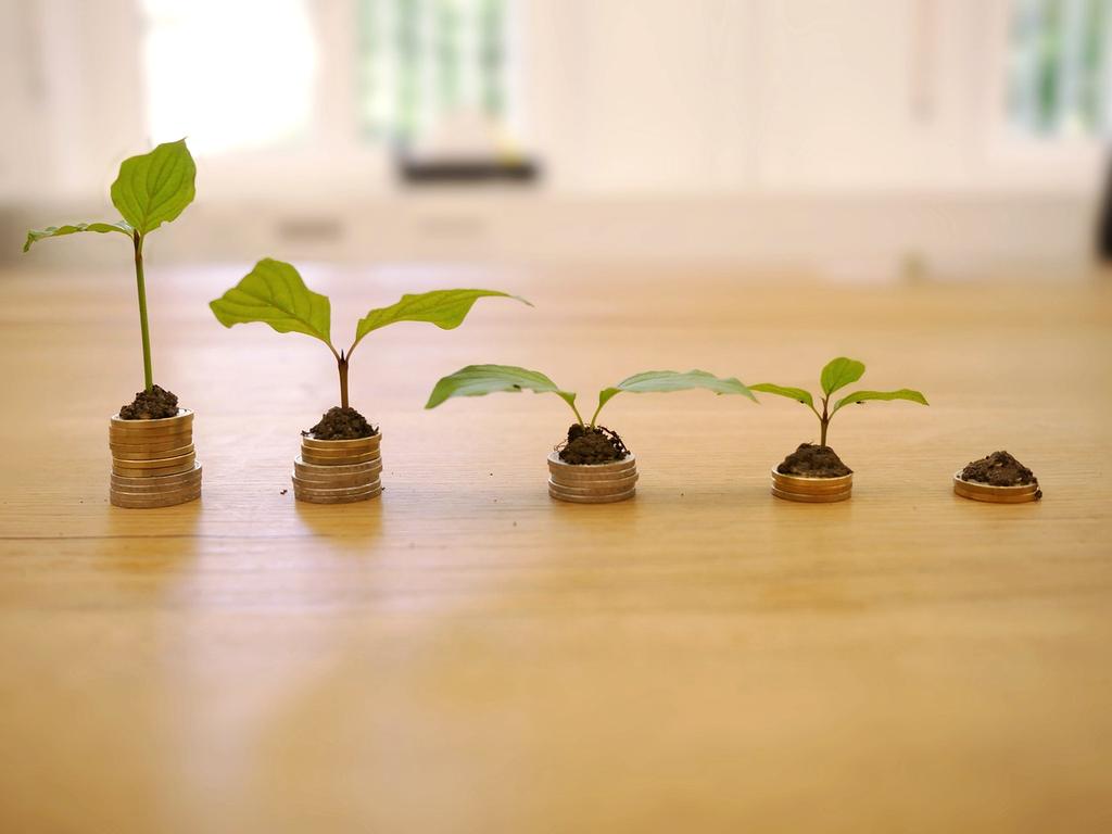 Glass jar filled with coins and plant representing growth